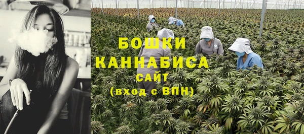 2c-b Заводоуковск