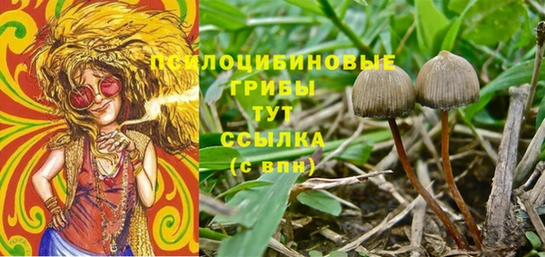 марки lsd Заволжск