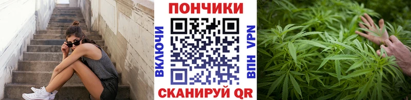 Купить закладки  Нолинск  Бошки марихуана гибрид 